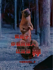 ��Ƥ�ӣ��㿴�����˻�������