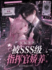 �Ǽ���������SSS��ָ�ӹٽ���